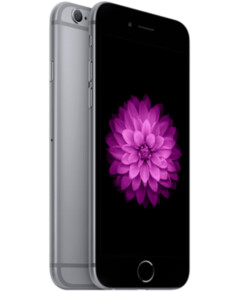 Apple iPhone 6 64gb Space Grau vocabulary.inIcoola