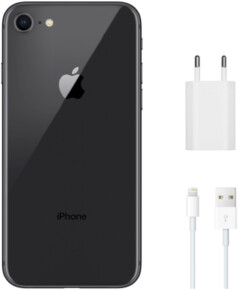 Apple iPhone 8 256gb Space Gray eco vocabulary.inIcoola