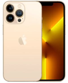 Apple iPhone 13 Pro Max 1TB Gold eco vocabulary.inIcoola