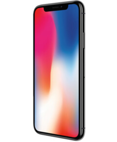 Apple iPhone X 256gb Space Grau eco vocabulary.inIcoola